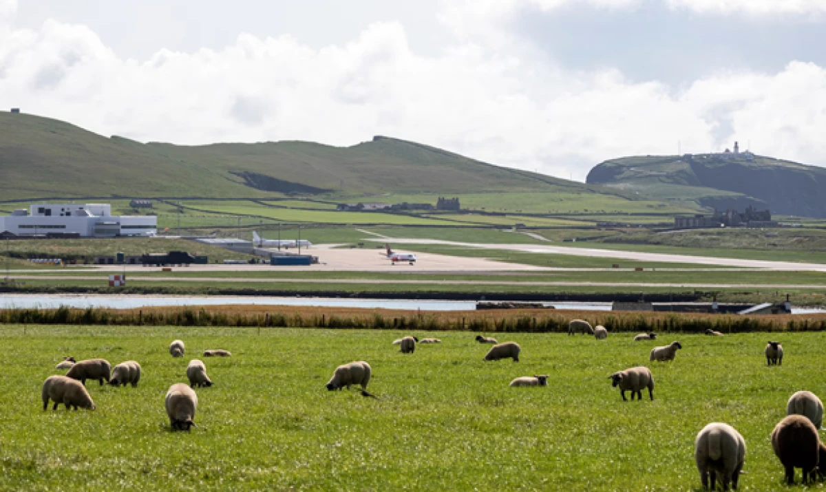 Country diary 1975: Shetland’s unique society could be under threat