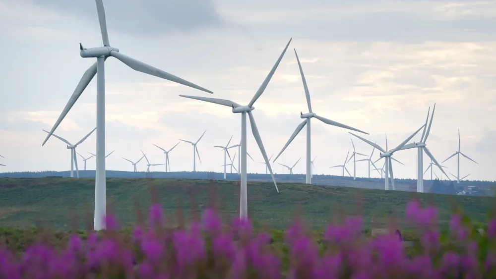 Wind turbines viewed beyond purple wild flowers