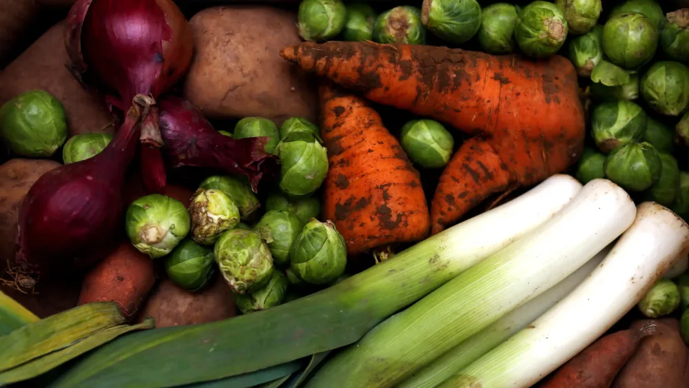 A range of vegetables on a table