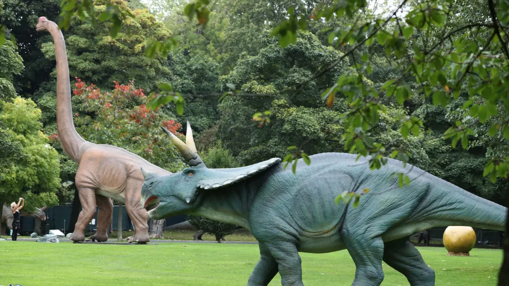 Models of dinosaurs