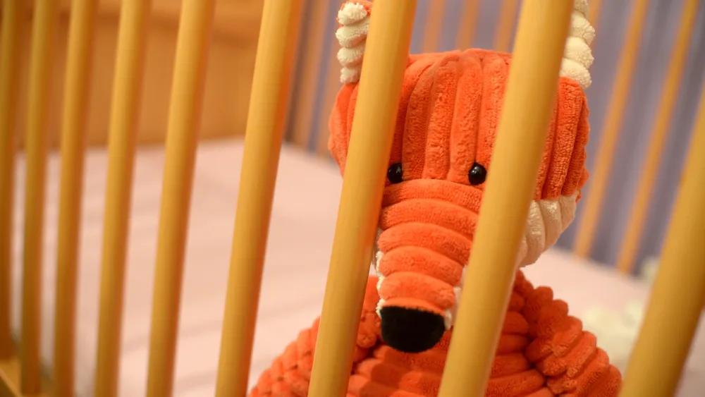 A toy in a cot bed