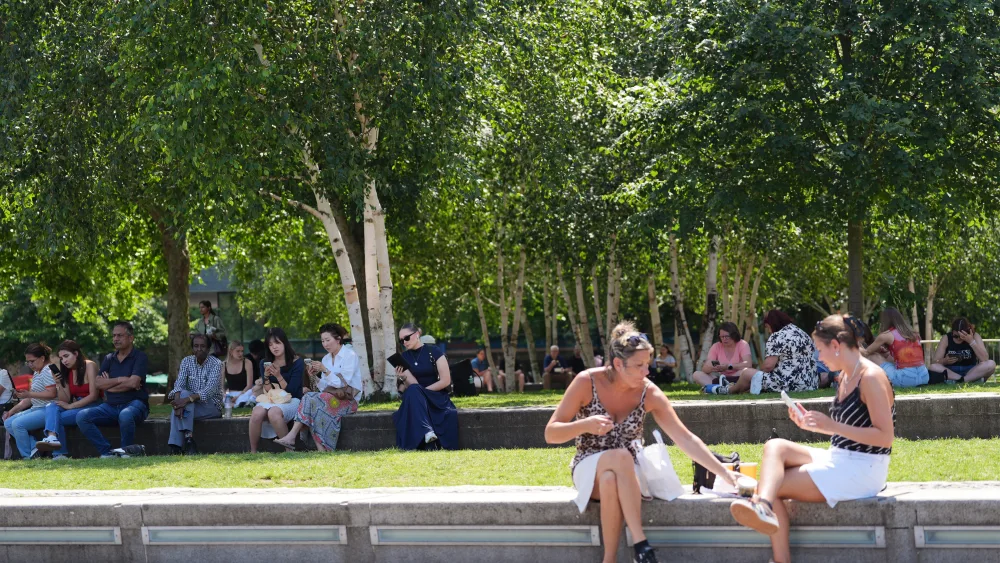 People sitting in the sun in a park area