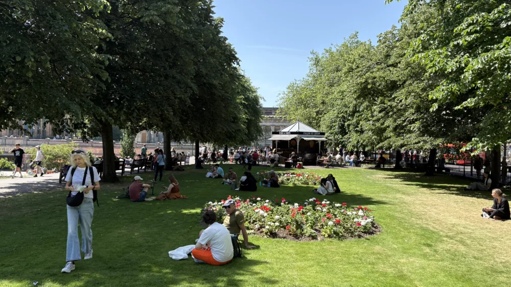 People sitting in the shade of trees in a park area